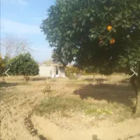 باغ-پرتقال-2500متر-روستای-بالاجاده