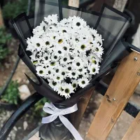 گل رز طبیعی|گل و گیاه طبیعی|بیرجند, |دیوار