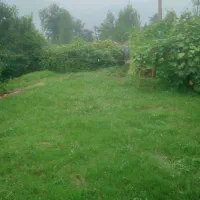 فرصت طلایی خرید زمین ویلایی در موقعیت عالی
