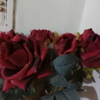 گلها همه سالم قیمت ۲۵۰و۸۰۰