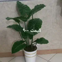 گل های مصنوعی قیمت مختلف|گل مصنوعی|بهارستان, |دیوار