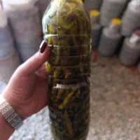 فروش|خوردنی و آشامیدنی|میاندوآب, |دیوار