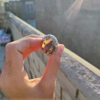 انگشتر شجر زیبا دست ساز|جواهرات|قم, ولیعصر|دیوار