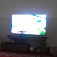 تلویزیون