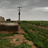 فروش زمین کشاورزی|فروش دفتر صنعتی، کشاورزی، تجاری|چناران, |دیوار