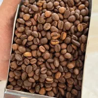 فروش انواع دان قهوه