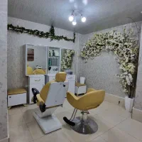 اجاره لاین رنگ و لایت