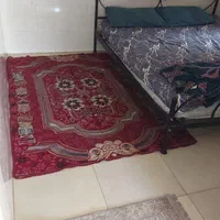 اجاره روزانه/هفتگی/ماهانه آپارتمان ۸۰ متری|اجارهٔ کوتاه‌مدت آپارتمان و سوئیت|بندرعباس, |دیوار