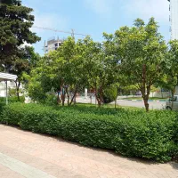 فروش-ویلاباغ-850متر-مرکز-شهر-محیط-دنج-و-آرام