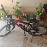 دوچرخه المپیا