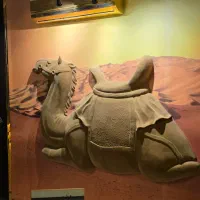 ظرفشور|استخدام خدمات فروشگاه و رستوران|تهران, سعادتآباد|دیوار