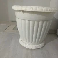 درحد نو سایز بزرگ