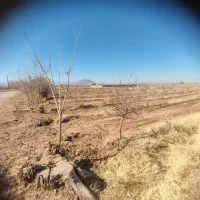 زمین-کشاورزی-دوحبه-آب-در-چترود