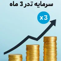 راهنمایی۳برابر شدن سرمایه تو۲ماه/شراکت