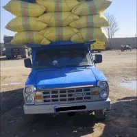 کاه گندم دیم کردستان