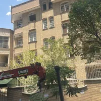 اختیاریه شمالی ۴۲۰ متر دونبش