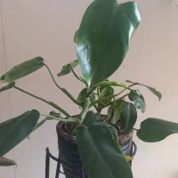 حراج لوازم منزل