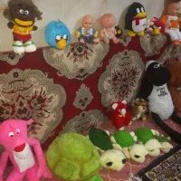 ۴۰ عدد عروسک بزرگ و کوچک همه نونو|اسباببازی بچه|مشکیندشت, |دیوار