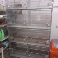 قفس قناری سره جفت کن