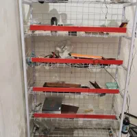 استند ۶ طبقه|کتابخانه، شلف، قفسههای دیواری|بهارستان, |دیوار