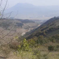 راننده پایه یک حمل دان