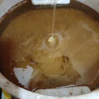 عسل سرای آرین. از تولید ب مصرف|خوردنی و آشامیدنی|آباده, |دیوار