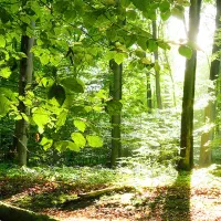 رفتن به موجهای آبی بروجرد