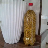 غوره شور