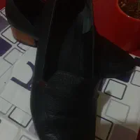 کفش