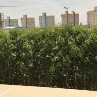 سرایدار ۲۴ ساعته