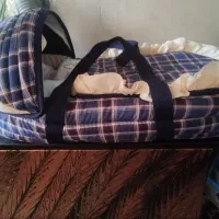 لوازم منزل سرویس آرکوپال میز قابلمه|حراج|شیراز, کفترک|دیوار