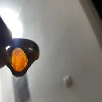 فروش انگشتر دست ساز زیر خاکی با قدمت بالای ۲۵۰ سال|جواهرات|ساری, |دیوار