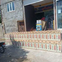 کباب پز 14سیخ برقی دادلیسان