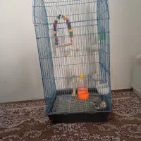 عروس هلندی همراه با قفس بزرگ