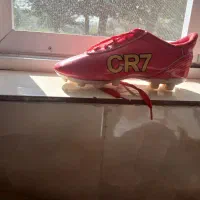 کفش|کیف، کفش، کمربند|رشت, استقامت ۱|دیوار