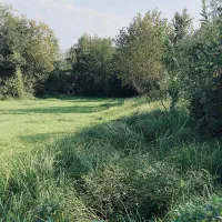 زمین باغی بازکیاگوراب ایشکا|فروش زمین و ملک کلنگی|لاهیجان, بازکیاگوراب|دیوار