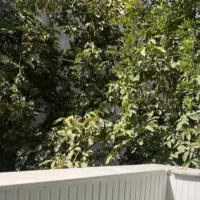 140-متر-ـ-صیاد-ویلای1