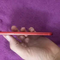 اپل iPhone XR با حافظهٔ ۶۴ گیگابایت|موبایل|تهران, اسکندری|دیوار