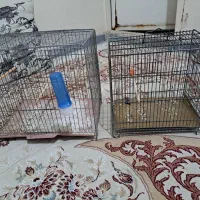 قفس سهر قناری