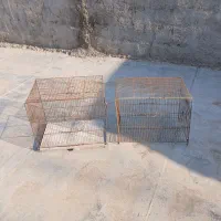 قفس پرنده|لوازم جانبی حیوانات|باغستان, |دیوار