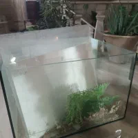 فروش اکواریوم