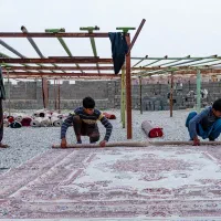 قالیشویی حکیمیه نارمک سراج تهرانپارس دلاوران|خدمات نظافت|تهران, جوادیه تهرانپارس|دیوار