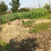 فروش خانه ویلایی در فومن، سند