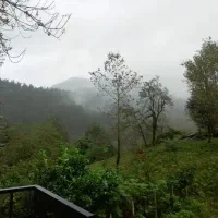 ۳۷۵ متر سند تک برگ با پروانه ۲۰۰ متر تا شهر