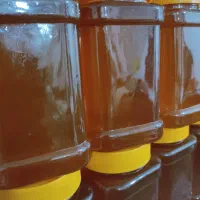 عسل چهل گیاه|خوردنی و آشامیدنی|شیراز, طلاب|دیوار
