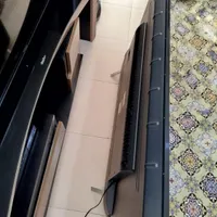 تلویزیون ال ای دی 49اینچ TCL|تلویزیون و پروژکتور|بجنورد, |دیوار