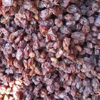 کشمش ابگیری|خوردنی و آشامیدنی|تبریز, |دیوار