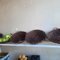 فروش استند میوه در تیران|فروشگاه و مغازه|تیران, |دیوار