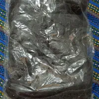 پوتین بهترین مارک