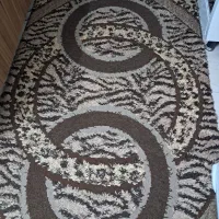 دو عددگلیم فرش اشپزخونه درحدنو|گلیم، جاجیم، گبه|کرج, حیدرآباد|دیوار